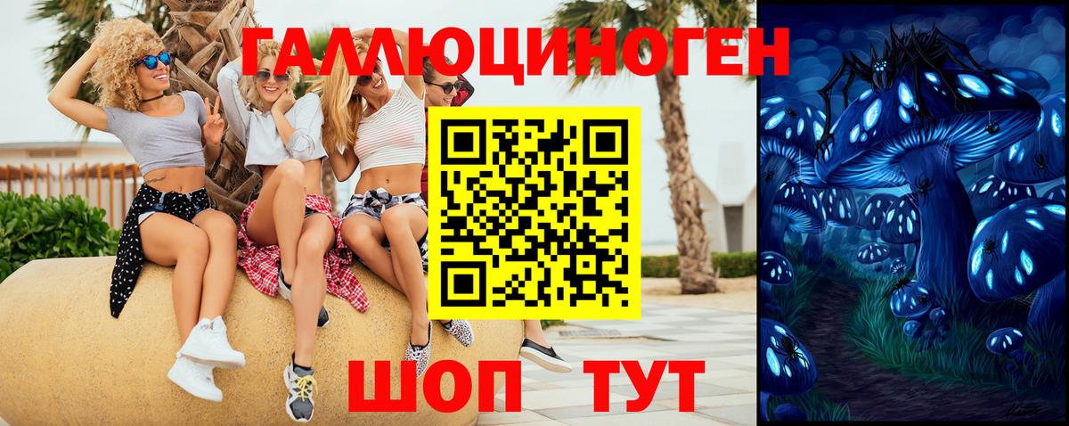 Псилоцибиновые грибы ЛСД Кострома